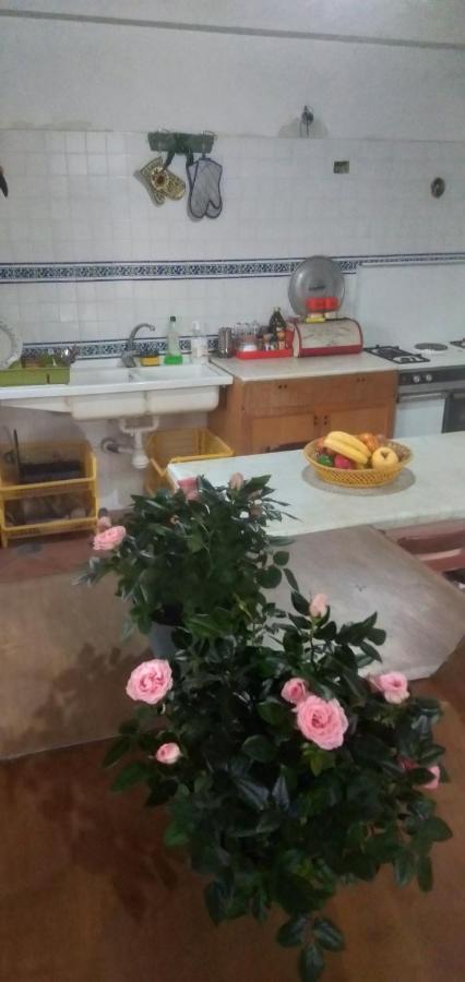 Salerno Experience Hostel Экстерьер фото
